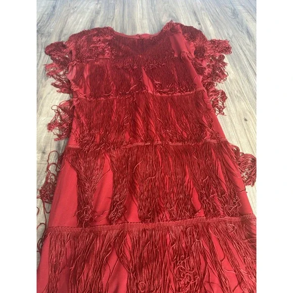 Cheryl Kaye Vintage Women's 16 Red Flapper Sleeveless‎ Tassels Fringe Dress USA - Picture 3 of 10
